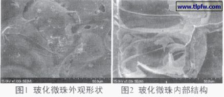 玻化微珠外觀形狀及內部結構